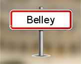 Diagnostiqueur immobilier Belley