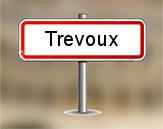 Diagnostiqueur Trévoux