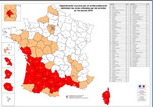 Carte infestation termites AIN